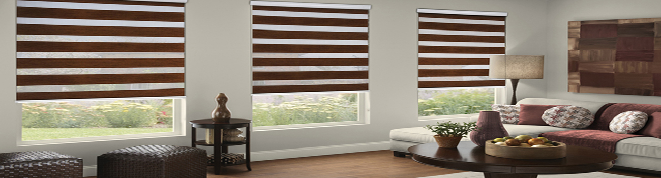 zebra blind