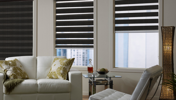 Window Zebra Blinds